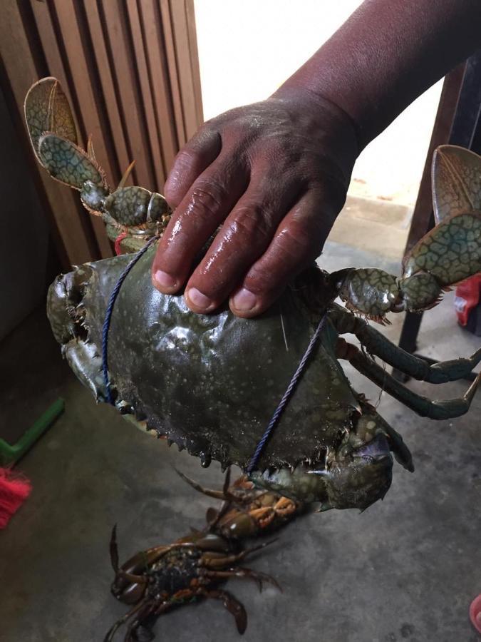 Reef Pasikudah 호텔 Nachivantivu 외부 사진